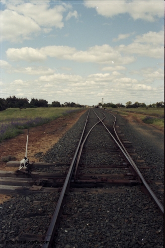 131-1-17
Wakool yard overview from north end points, point lever, looking south.
