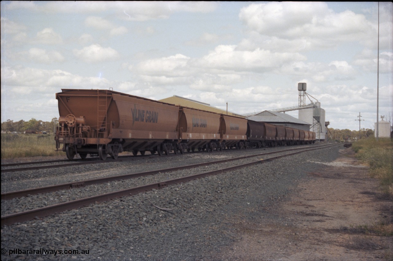 131-2-08
Moulamein, broad gauge V/Line Grain bogie grain waggons, Ascom silo complex, looking south.
