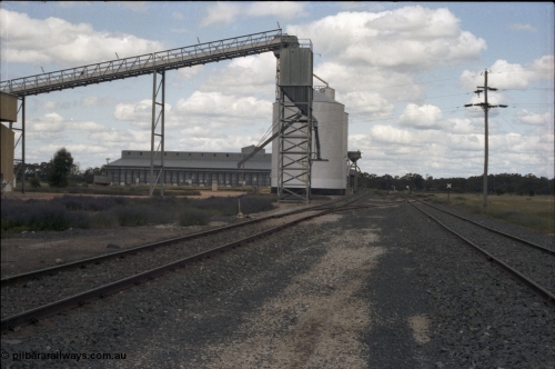 131-2-09
Moulamein yard view, Ascom silo complex in-between rice outflow spouts, point lever, south end.

