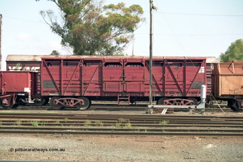 138-04
Bendigo yard, MM class bogie livestock waggon, primarily for cattle haulage, stored.
