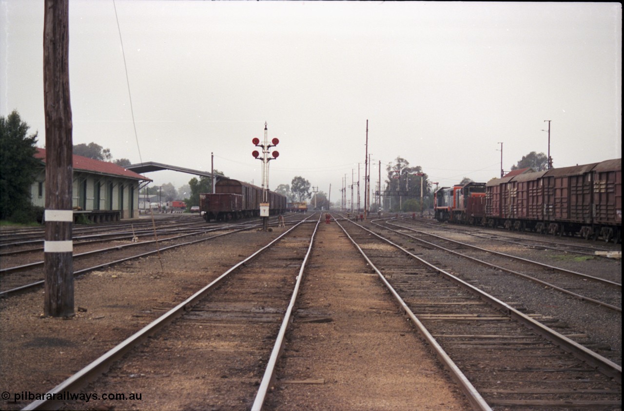 142-1-32
Benalla yard overview looking north, goods shed at left, Freightgate canopy and NSW louvre vans, disc signal post 12 with telephone box, taken between No. 5 and 6 Roads, stabled 9303 Wodonga goods at right, signal gantry in the distance, foggy.
