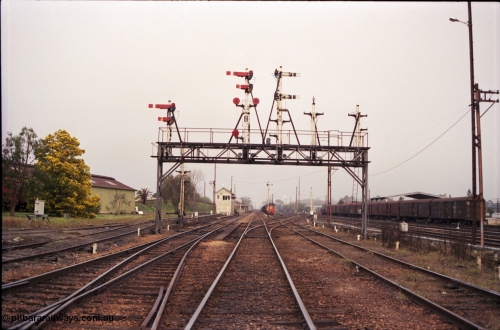 142-1-22
Benalla station yard overview from the Yarrawonga line double compound points looking south, signal gantry has disc posts 23 and 24 stripped and post 25 partially stripped, signal post 27 is stripped, workshops at left, B signal box, station and stabled goods train 9303 in the background.

