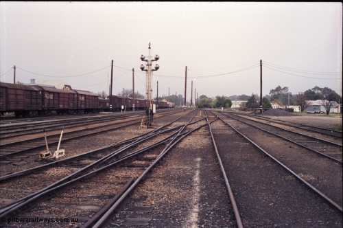 142-1-29
Benalla station yard overview, looking south, goods yard, end of Dock D, 4, 5 and 6 Roads to the left of disc signal post 12, point levers for double compound points, goods train is stabled 9303 Wodonga goods.
