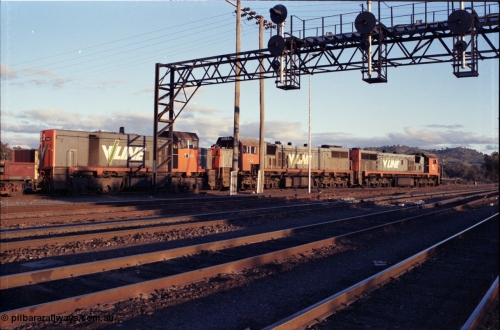 142-3-17
Albury south yard, V/Line broad gauge locos X classes, X 50 Clyde Engineering EMD model G26C serial 75-797 and X 44 serial 70-707 and T class T 369 Clyde Engineering EMD model G8B serial 64-324 are on the point of up Albury steel train 9334, awaiting departure time, trailing view.
Keywords: T-class;T369;Clyde-Engineering-Granville-NSW;EMD;G8B;64-324;