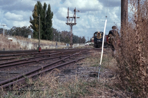 143-14
Springhurst yard view, broad gauge VR liveried Y class Y 133 Clyde Engineering EMD model G6B serial 65-399 leads the down Wahgunyah mixed 'Stringybark Express' Special as it departs No. 2 Rd for the Wahgunyah line, the track closest to the camera is Siding A, the Wahgunyah line and then No. 2 and No. 1 Rd.
