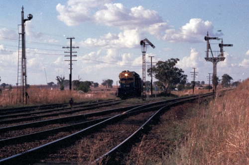 144-03
Springhurst yard view looking north, up Wahgunyah 'Stringybark Express' mixed special hauled by broad gauge VR liveried Y class Y 133 Clyde Engineering EMD model G6B serial 65-399 on the Wahgunyah line pulls forward into Springhurst at semaphore signal Post 6, the Up Home Wahgunyah Line to No. 2 Rd to Post 3, the other signals are disc Post 5 from Siding A to No. 2, 3, 4 or 5 Roads and on the right is semaphore signal Post 8 the Up Home Wodonga Line, the embankment at the far right is the standard gauge flyover.
Keywords: Y-class;Y133;Clyde-Engineering-Granville-NSW;EMD;G6B;65-399;