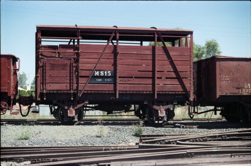 146-19
Seymour, preserved broad gauge Victorian Railways M type four wheel cattle waggon M 815, side view. Built new in March 1953 at Newport Workshops.
Keywords: M-type;M815;