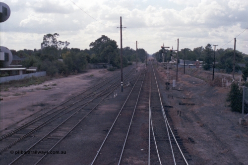 148-32
Wangaratta yard looking north along Main Line with points from No. 1 Road visible, Siding 'C' and Nos. 4 and 5 Roads on the left. Signal Post 23 and the standard gauge line are visible in the cutting at the right.
