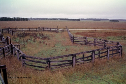 150-27
Lismore, view of cattle holding yard from loading race.
