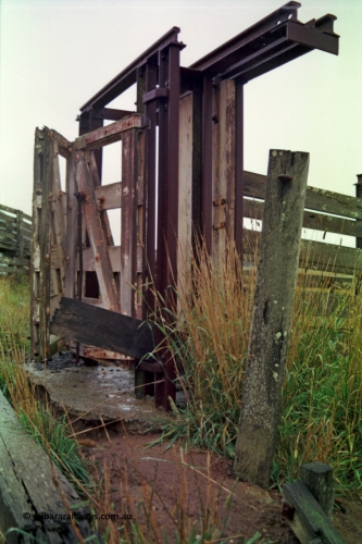 150-28
Lismore, cattle loading ramp showing race side gates and sliding cut off gate.
