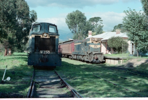 160-02
Healesville station overview, Yarra Valley Tourist Railway broad gauge locos and rolling stock, former Victorian Railways W class W 250 Tulloch Ltd model 1-MS 0-6-0 diesel hydraulic serial 15 and T class T 341 Clyde Engineering EMD model G8B serial 56-120 both still in Victorian Railways livery.
Keywords: W-class;W250;Tulloch-Ltd-NSW;1-MS;15;