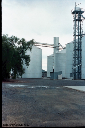 160-12
Murchison East, rear view of Murphy style silo complex with annex, with Ascom style open frame elevator and road receival point at right.
