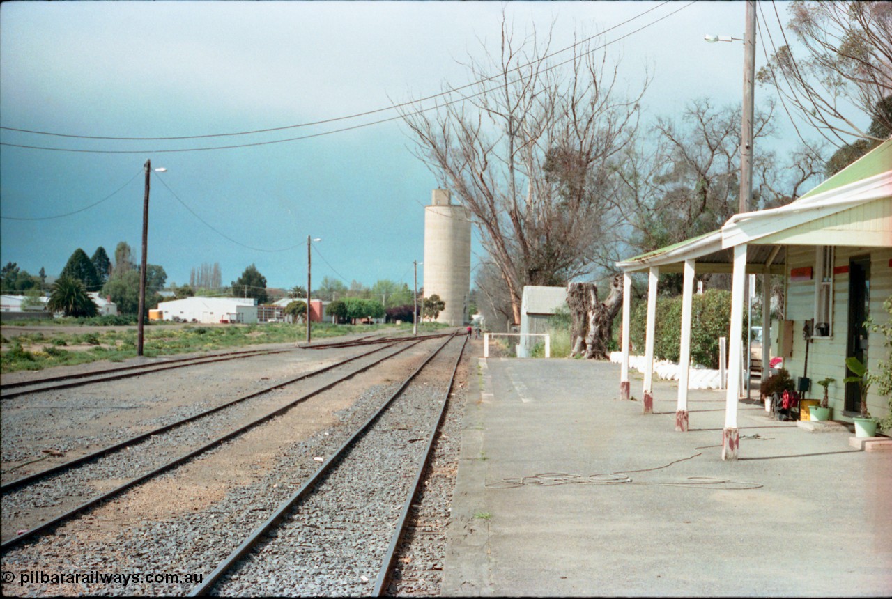 161-21
Cobram, yard overview looking north from station platform, Williamstown style silo complex in the background, station building at right.

