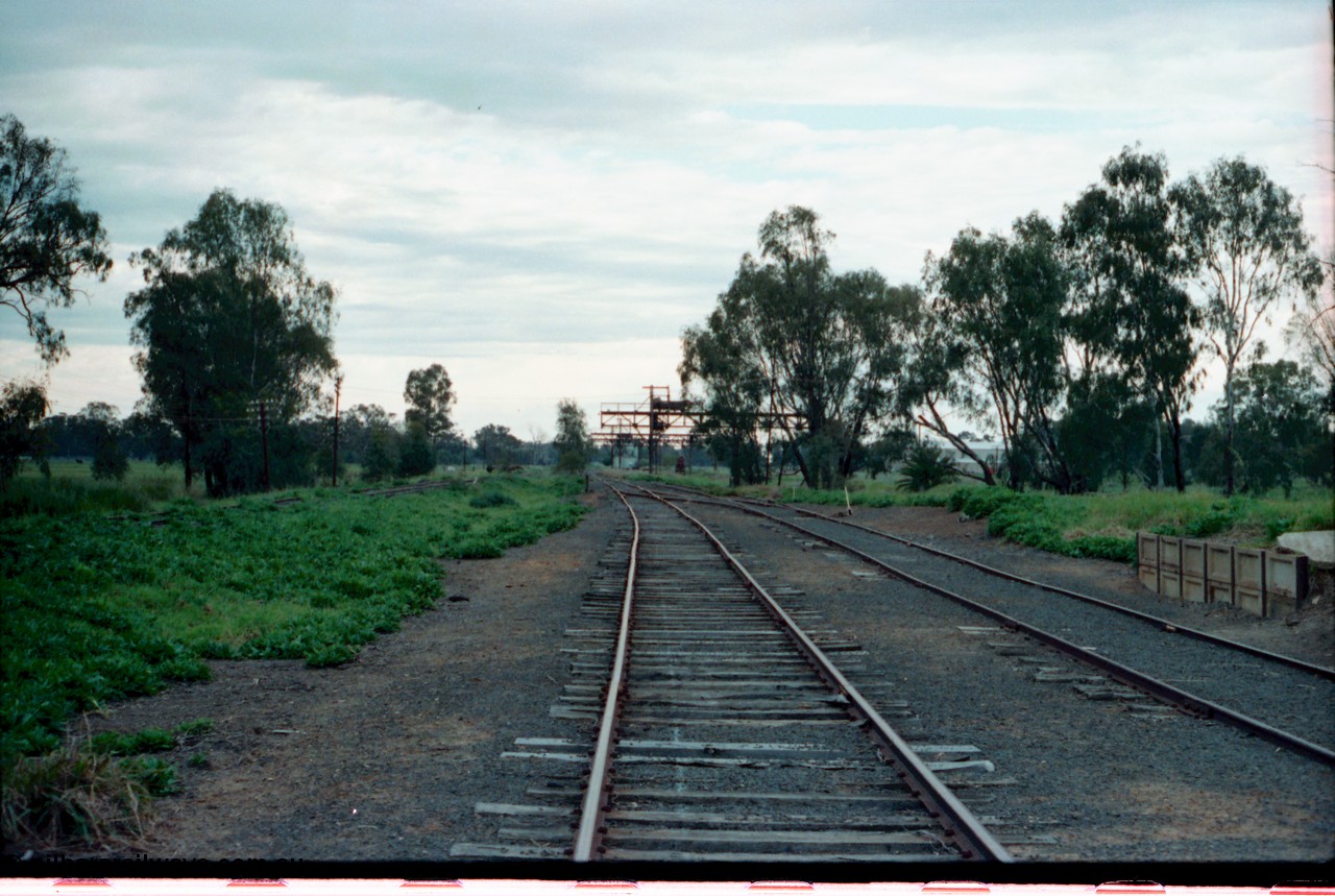 161-33
Tocumwal, yard view of broad gauge tracks running north, NSWGR standard gauge cattle yard track on the far right, trans-shipping cranes in the distance.
