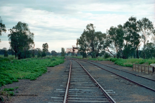 161-33
Tocumwal, yard view of broad gauge tracks running north, NSWGR standard gauge cattle yard track on the far right, trans-shipping cranes in the distance.
