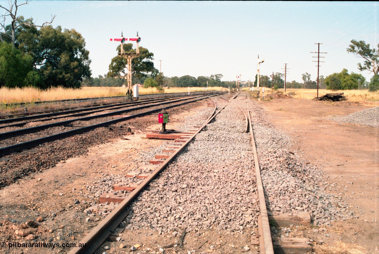 163-20
Avenal station yard looking south along No.3 Road, with Siding A and new points and indicator to mainline, this used to be a double compound point, semaphore signal post 6 for up trains and down facing signals still intact, standard gauge line is at the far left, the three disc signals in the distance, 3, 4 and 5 control movements along Siding A and the grade crossing.

