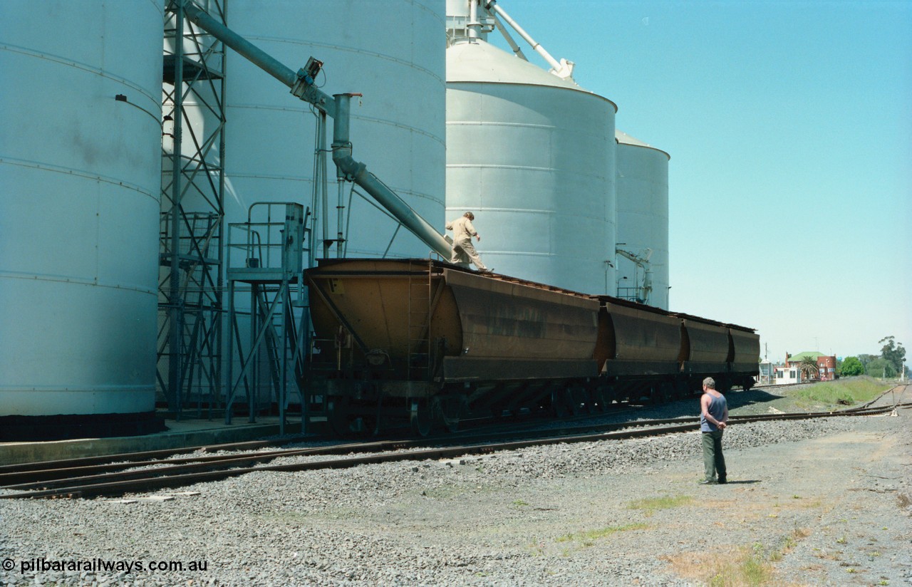 164-13
Murchison East, four broad gauge V/Line Grain VHGF type bogie grain waggons, lead by VHGF 119, built as a GJX type by Steelweld Victoria in January 1969, being loaded on the gravitational road from the Ascom silos, Murphy silos behind, workers on waggon and ground.
Keywords: VHGF-type;VHGF119;Steelweld-Vic;GJX-type;