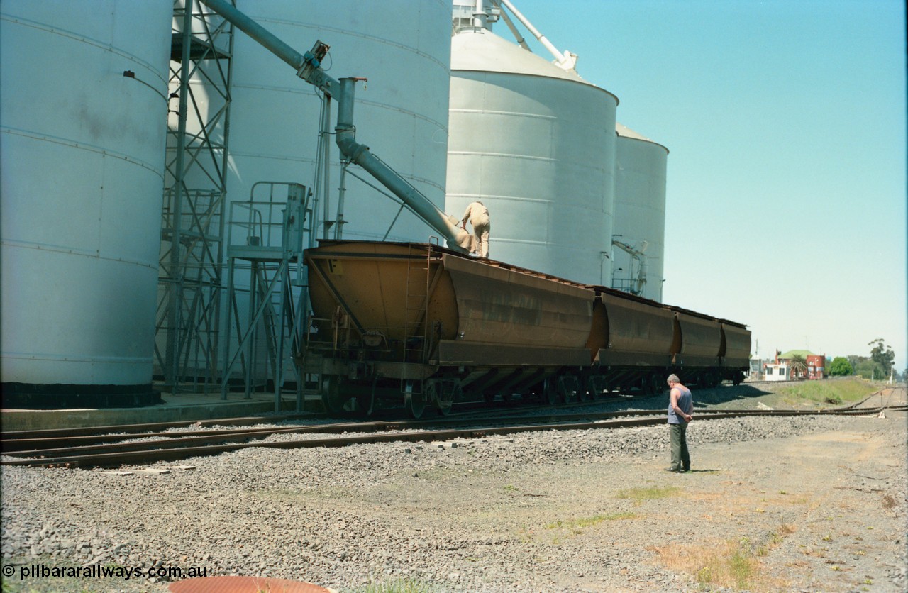 164-14
Murchison East, four broad gauge V/Line Grain VHGF type bogie grain waggons, lead by VHGF 119, built as a GJX type by Steelweld Victoria in January 1969, being loaded on the gravitational road from the Ascom silos, Murphy silos behind, workers on waggon and ground.
Keywords: VHGF-type;VHGF119;Steelweld-Vic;GJX-type;