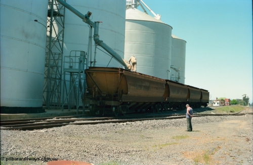 164-14
Murchison East, four broad gauge V/Line Grain VHGF type bogie grain waggons, lead by VHGF 119, built as a GJX type by Steelweld Victoria in January 1969, being loaded on the gravitational road from the Ascom silos, Murphy silos behind, workers on waggon and ground.
Keywords: VHGF-type;VHGF119;Steelweld-Vic;GJX-type;