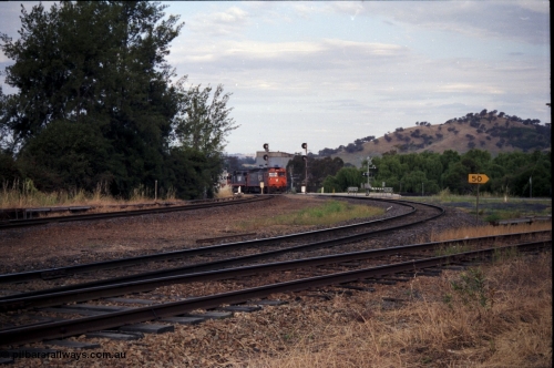 176-08
Wodonga, V/Line standard gauge up goods train passing the Wodonga Coal Sidings behind a G and C class combination, broad gauge track on the left, and the former broad gauge line to Bandiana and Cudgewa curving around to the right.
