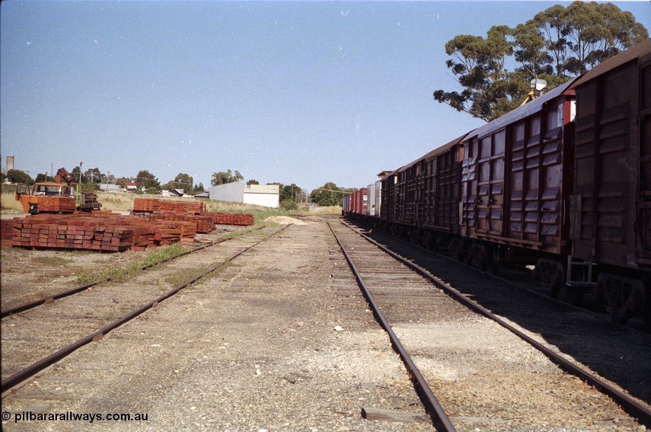 182-03
Wahgunyah, yard view with stockpiles of new red gum sleepers at left, an empty rake of bogie louvre vans and container waggons sits in the yard for Uncle Tobys, looking towards the terminus.
