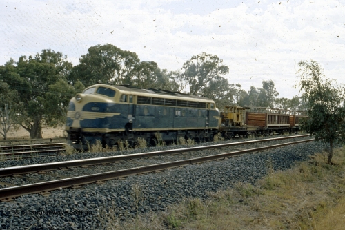 191-15
Dysart, near School House Lane, V/Line broad gauge B class B 65 Clyde Engineering EMD model ML2 serial no. ML2-6 still in Victorian Railways livery speeds past with an UP special sleeper discharge train on a Sunday.
Keywords: B-class;B65;Clyde-Engineering-Granville-NSW;EMD;ML2;ML2-6;bulldog