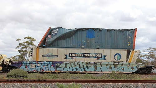 P5 260901 7699
RRRY 7005 platform #5 with damaged top box. Was part of train 1MP5 which was backed up the Esperance line and struck Lefroy Bridge, August 31, 2026.
P5T RVTU 941287 [4] United Rentals - ex Royal Wolf
P5B LTCD 462039 RFRG Lindsay Transport reefer
Keywords: Peter-D-Image;RRRY-type;RRRY7003;1PM5