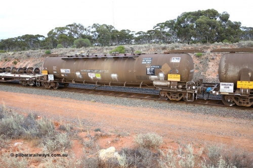 161116 5126
West Kalgoorlie, Shell fuel train 3442, ATPF 579 fuel tank waggon built by WAGR Midland Workshops 1974 for Shell as WJP type 80.66 kL one compartment one dome, fitted with type F InterLock couplers.
Keywords: ATPF-type;ATPF579;WAGR-Midland-WS;WJP-type;