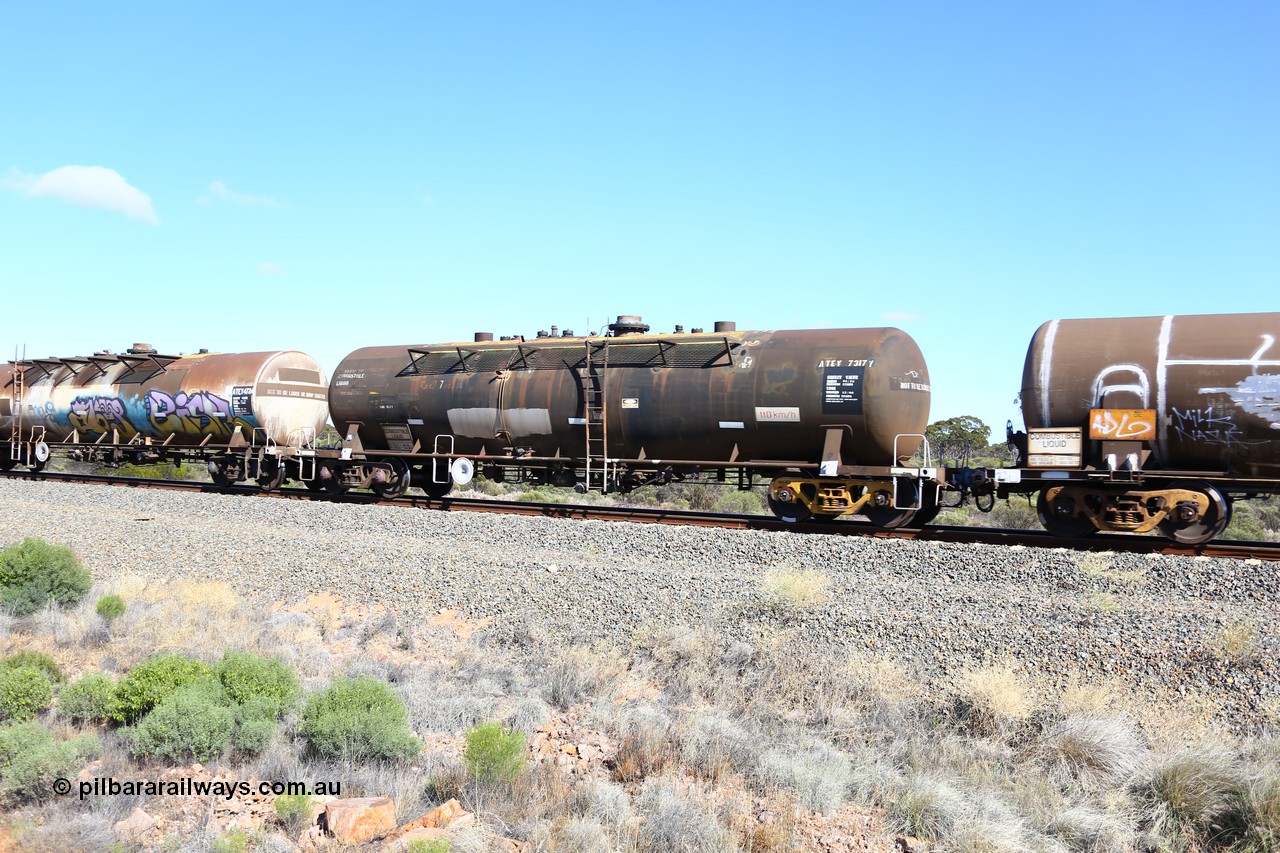161111 2469
Binduli, Kalgoorlie Freighter train 5025, ATEY 7317 diesel fuel tank waggon in service for BP Oil, former NSW AMPOL NTAF tank, coded WTEY when arrived in WA.
Keywords: ATEY-type;ATEY7317;NTAF-type;WTEY-type;
