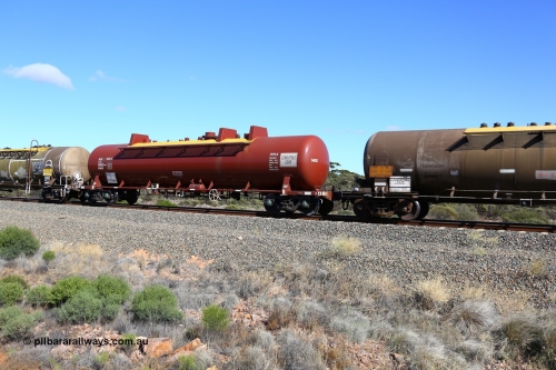 161111 2477
Binduli, Kalgoorlie Freighter train 5025, NTAY type fuel tank waggon NTAY 5452, originally built by Indeng Qld for Mobil as part of a batch of seven NTAF tanks in 1981 as NTAF 452. Refurbished by Gemco WA for BP Oil, capacity of 61000 litres.
Keywords: NTAY-type;NTAY5452;Indeng-Qld;NTAF-type;NTAF452;