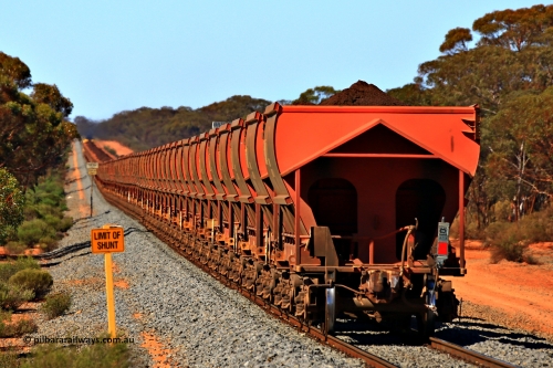 240328 3035
Hampton and Aurizon loaded iron ore train 5041 with a rake of MHLY and MHPY waggons runs south towards Esperance from Koolyanobbing through the dip at the 19 km on the Esperance line. March 28, 2024.
