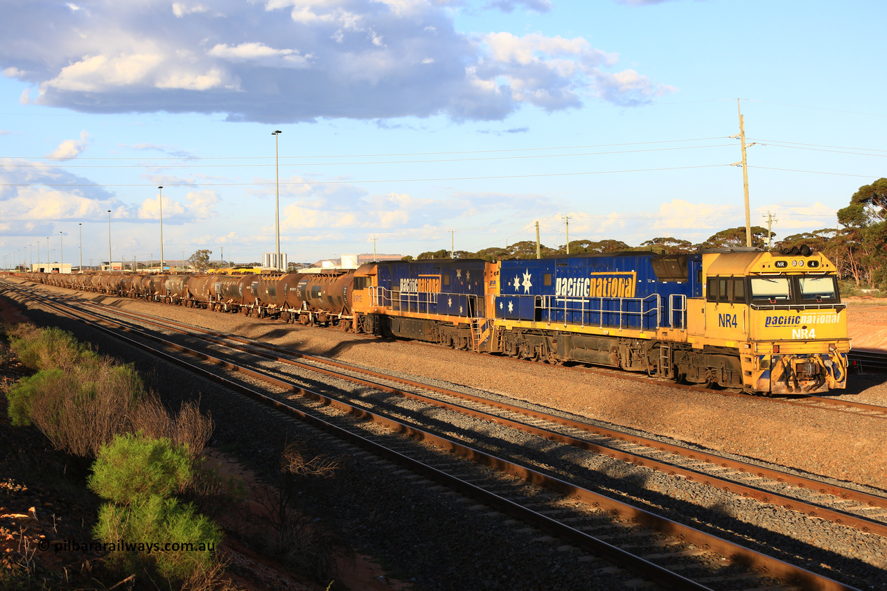 240328 3166
West Kalgoorlie yard and empty Pacific National fuel train 5445 for Viva Energy to Esperance waits for departure time. NR 4 and NR 113 lead thirty-one waggons for 705.7 tonnes and 607.4 metres. Thursday March 28, 2024.
Consist was NTAY 6128 M, NTAY 6131 D, NTBF 6121 Y, ATPF 584 S, NTBF 6118 A, NTBF 6122 A, ATLF 562 S, NTAY 6132 M, ATPF 579 J, ATPF 607 L, ATLF 561 J, NTAY 6130 R, ATPF 576 F, NTBF 6119 J, ATQF 611 Y, ATPF 606 C, ATMF 552 N, ATPF 582 A, ATPF 574 K, ATPF 581 Y, ATQF 612 A, ATPF 573 B, ATPF 580 F, ATPF 575 T, ATPF 571 G, NTAY 6126 R, ATPF 577 Y, ATPF 572 P, NTBF 6120 F, NTAY 6129 V, ATMF 551 E.
Keywords: NR-class;NR4;Goninan-NSW;GE;Cv40-9i;7250-11/96-206;