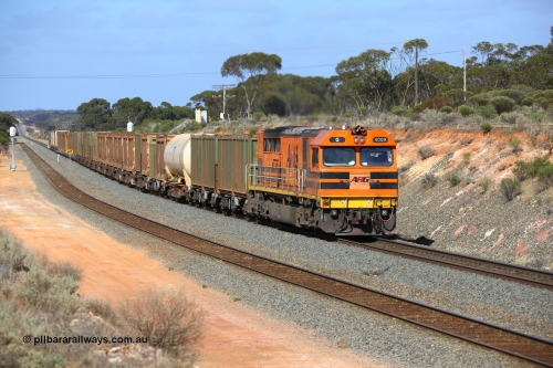 161112 2976
Binduli, loaded Malcolm sulphur train 6029 runs through the dip behind Clyde Engineering built EMD model GT46C Q class unit Q 4009, (originally Q 309) serial 97-1462 as it passes signals 4 and 6 on approach to West Kalgoorlie.
Keywords: Q-class;Q4009;Clyde-Engineering-Forrestfield-WA;EMD;GT46C;97-1461;Q309;