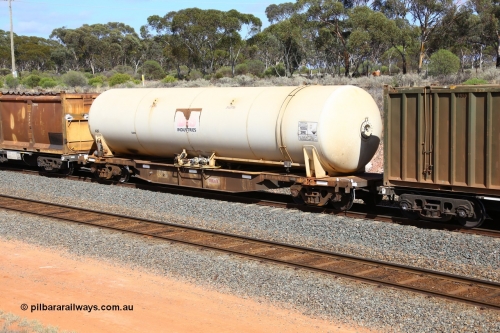 161112 2983
West Kalgoorlie, loaded Malcolm sulphur train 6029, AZKY type anhydrous ammonia tank waggon AZKY 32241, one of twelve waggons built by Goninan WA in 1998 as type WQK for Murrin Murrin traffic fitted with Bis INDUSTRIES anhydrous ammonia tank A3F.
Keywords: AZKY-type;AZKY32241;Goninan-WA;WQK-type;