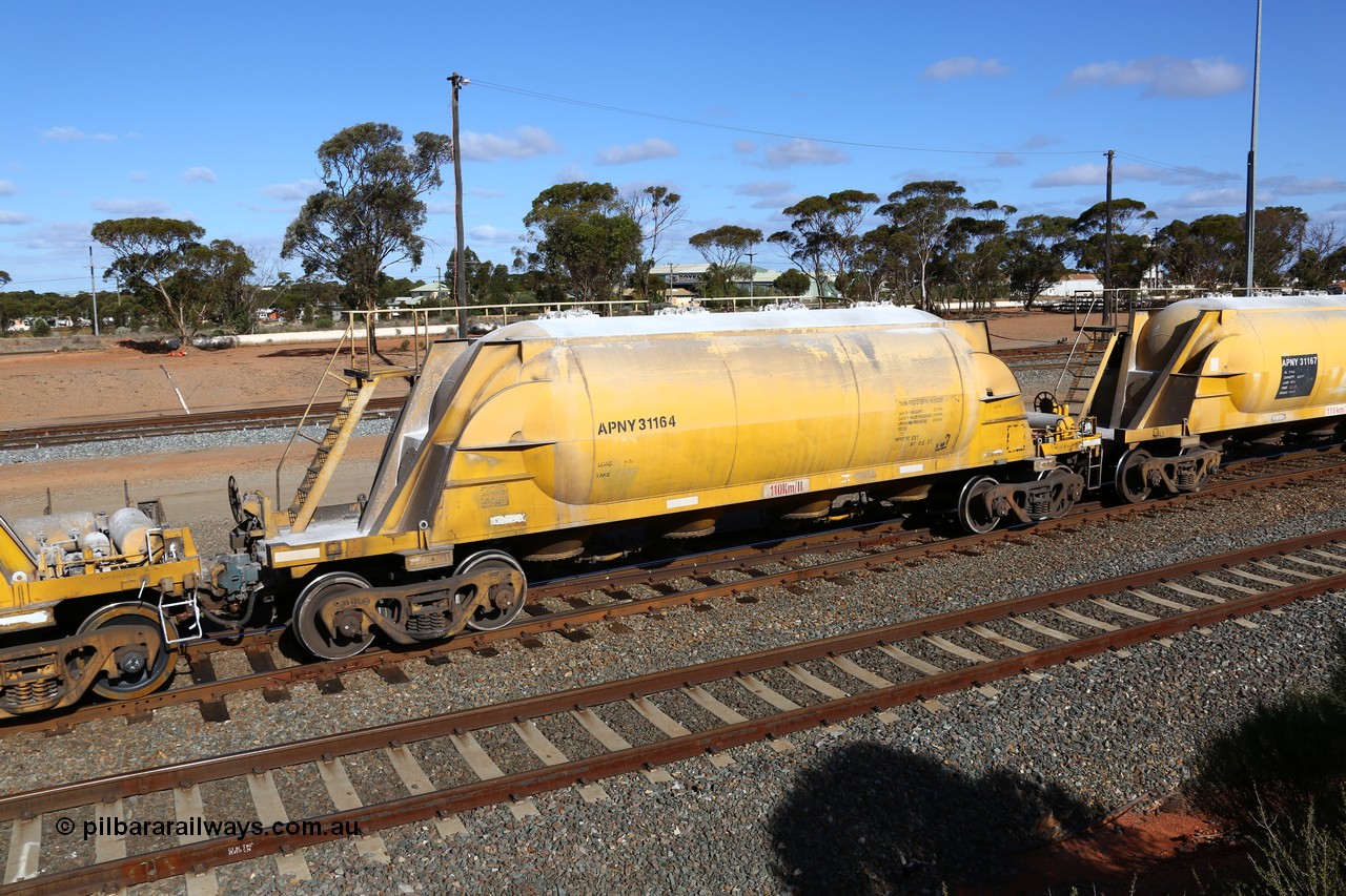 160522 2462
West Kalgoorlie, APNY 31164, one of four built by Westrail Midland Workshops in 1978 as WNA type pneumatic discharge nickel concentrate waggon, WAGR built and owned copies of the AE Goodwin built WN waggons for WMC.
Keywords: APNY-type;APNY31164;Westrail-Midland-WS;WNA-type;