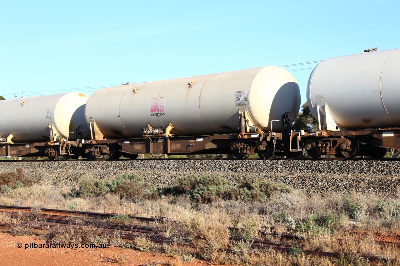 160523 2745
West Kalgoorlie, Malcolm freighter, train no. 1029, AZKY type anhydrous ammonia tank waggon AZKY 32241, one of twelve built by Goninan WA in 1998 as type WQK for Murrin Murrin traffic, fitted with Bis Industries anhydrous ammonia tank A3F.
Keywords: AZKY-type;AZKY32241;Goninan-WA;WQK-type;