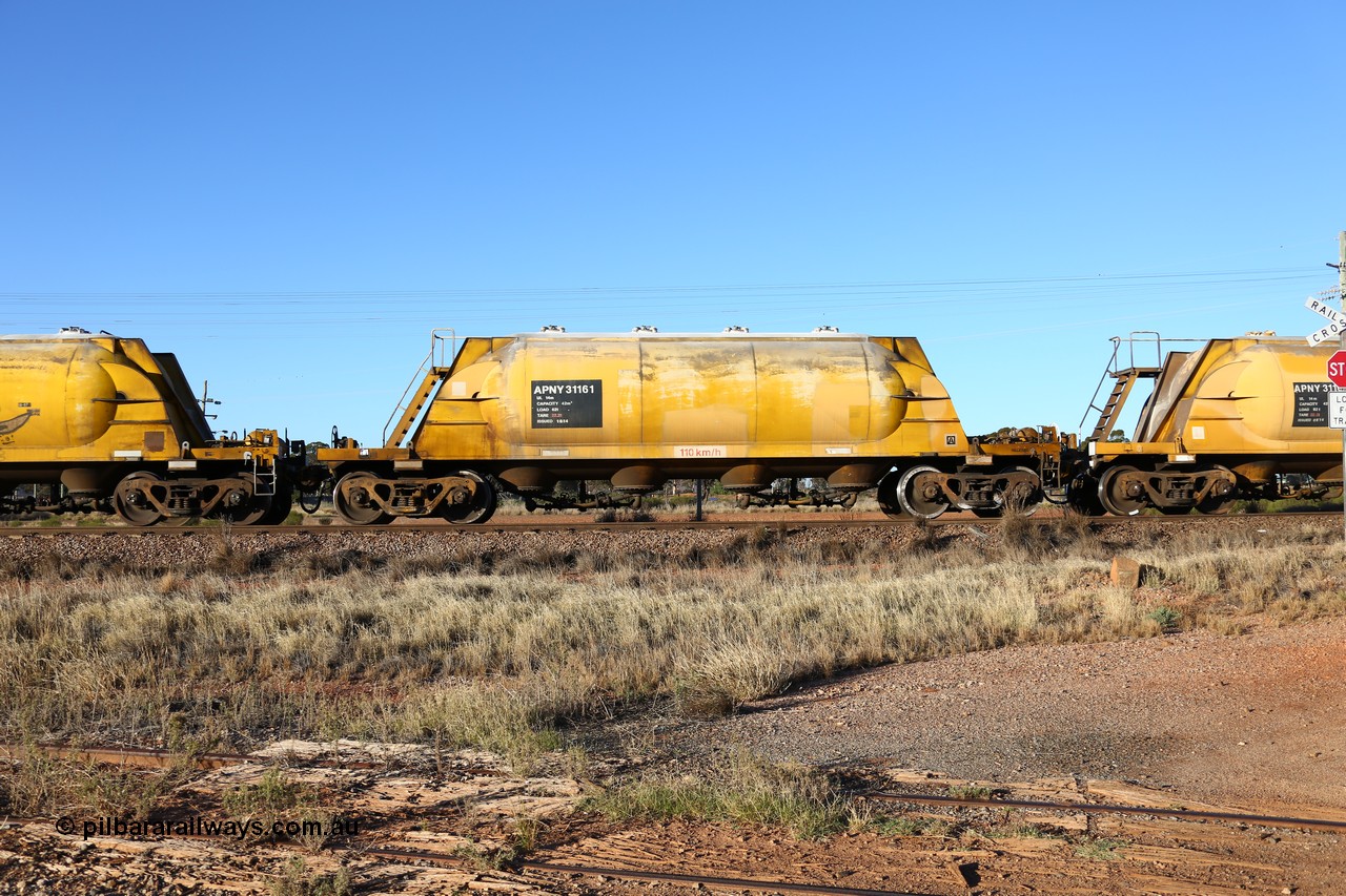 160527 5487
Parkeston, loaded lime and cement shunt train 2C71 from West Kalgoorlie to Parkeston for Cockburn Lime. APNY 31161, one of twelve built by WAGR Midland Workshops in 1974 as WNA type pneumatic discharge nickel concentrate waggon, WAGR built and owned copies of the AE Goodwin built WN waggons for WMC.
Keywords: APNY-type;APNY31161;WAGR-Midland-WS;WNA-type;