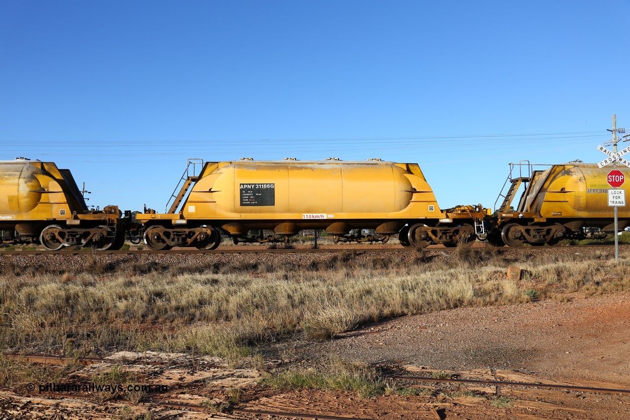 160527 5488
Parkeston, loaded lime and cement shunt train 2C71 from West Kalgoorlie to Parkeston for Cockburn Lime. APNY 31166, one of four built by Westrail Midland Workshops in 1978 as WNA type pneumatic discharge nickel concentrate waggon, WAGR built and owned copies of the AE Goodwin built WN waggons for WMC.
Keywords: APNY-type;APNY31166;Westrail-Midland-WS;WNA-type;