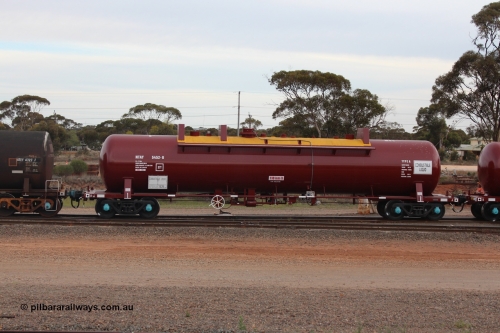 141028 IMG 3265
West Kalgoorlie, NTAY type fuel tank waggon NTAY 5452, originally built by Indeng Qld for Mobil as part of a batch of seven NTAF tanks in 1981 as NTAF 452. Refurbished by Gemco WA for BP Oil, capacity of 61000 litres. Peter Donaghy image.
Keywords: Peter-D-Image;NTAY-type;NTAY5452;Indeng-Qld;NTAF-type;NTAF452;
