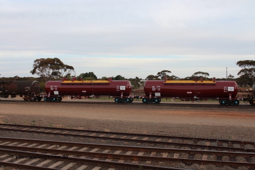 141028 IMG 3267
West Kalgoorlie, NTAY type fuel tank waggon NTAY 5455 with 62,000 litre capacity for BP. Refurbished by Gemco WA in June 2014 from ex Mobil Oil NTAF type tank waggon NTAF 5455. In BP Oil ownership. I think this is an Indeng Qld built NTAF 455 the final of seven such tanks built for Mobil of NSW in 1981. Peter Donaghy image.
Keywords: Peter-D-Image;NTAY-type;NTAY5455;NTAF-type;Indeng-Qld;NTAF455;