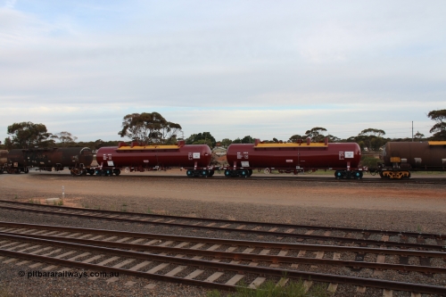 141028 IMG 3268
West Kalgoorlie, NTAY type fuel tank waggon NTAY 5455 with 62,000 litre capacity for BP. Refurbished by Gemco WA in June 2014 from ex Mobil Oil NTAF type tank waggon NTAF 5455. In BP Oil ownership. I think this is an Indeng Qld built NTAF 455 the final of seven such tanks built for Mobil of NSW in 1981. Peter Donaghy image.
Keywords: Peter-D-Image;NTAY-type;NTAY5455;NTAF-type;Indeng-Qld;NTAF455;