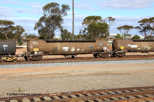 160525 4834
West Kalgoorlie, ATBY 14594 fuel tanker, one of nine JPB type tankers built for Bain Leasing Pty Ltd by Westrail Midland Workshops in 1981/82 for narrow gauge recoded to JPBA, converted to standard gauge 1987 as WJPB. 82000 litre capacity, with a 72000 limit.
Keywords: ATBY-type;ATBY14594;Westrail-Midland-WS;JPB-type;JPBA-type;WJPB-type;