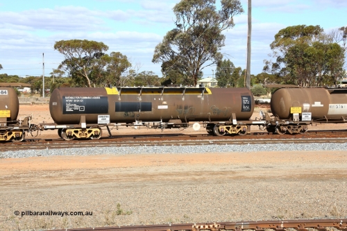 160525 4836
West Kalgoorlie, NTAY 6131 fuel tanker, originally built by Indeng Qld as an SCA tank SCA 282 for Shell NSW in 1979.
Keywords: NTAY-type;NTAY6131;Indeng-Qld;SCA-type;SCA282;NTAF-type;