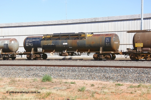 190109 1448
West Kalgoorlie, NTAY type tank waggon NTAY 6129, built by Industrial Engineering Qld in 1976 as an SCA type SCA 280 for Shell. Recoded to NTAF 280, then 6129, capacity of 61,300 litres. Under Viva Energy ownership.
Keywords: NTAY-type;NTAY6129;Indeng-Qld;SCA-type;SCA280;NTAF-type;