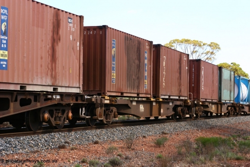 060117 2718
Bardoc, AQNY 32159, one of sixty two waggons built by Goninan WA in 1998 as WQN type for Murrin Murrin container traffic, with two 20' containers Royal Wolf RWTU 2247 and Triton TTNU 248450, train 2029 loaded Malcolm freighter.
Keywords: AQNY-type;AQNY32159;Goninan-WA;WQN-type;