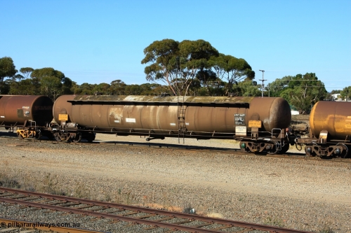 100602 8593
West Kalgoorlie, ATKY 545 fuel tank waggon built by Tulloch Ltd NSW for ESSO Australia 1975 as a WJK type capacity of 105000 litres, sold to BP Oil in 1986, current capacity is probably 80500 litres in line with the rest of the fleet.
Keywords: ATKY-type;ATKY545;Tulloch-Ltd-NSW;WJK-type;WJKY-type;