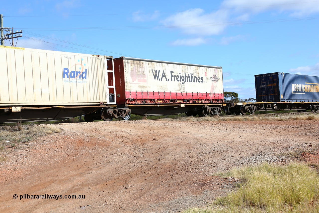 160522 2414
Parkeston, 7MP7 priority service train, RRAY 7255 platform 5 of 5-pack articulated skeletal waggon set, part of one hundred built by ABB Engineering NSW 1996-2000, 40' deck with W.A. Freightlines 40' curtainsider WAFL 491006.
Keywords: RRAY-type;RRAY7255;ABB-Engineering-NSW;