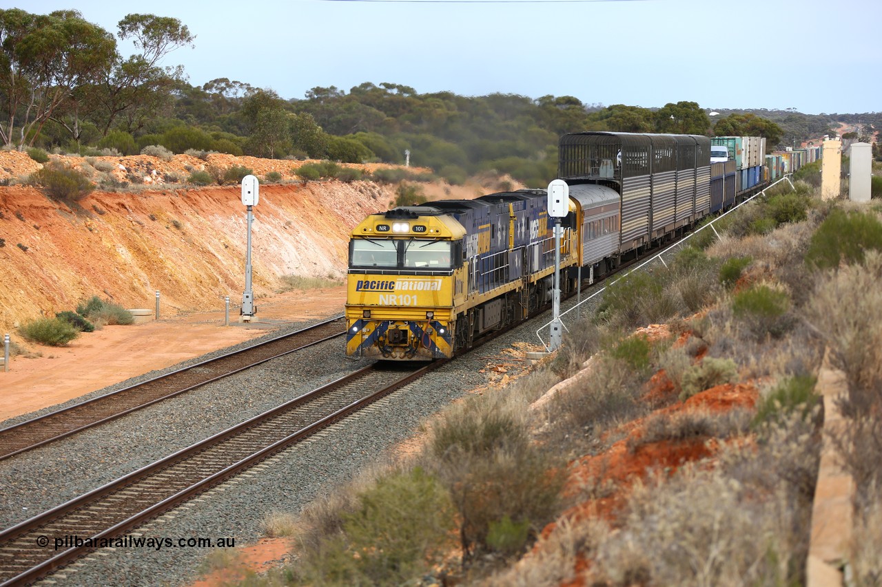 160524 3733
West Kalgoorlie, 2PM6 intermodal train splits the outer home signal posts #4 and #6 as it arrives behind Goninan built GE model Cv40-9i NR class units NR 101 serial 7250-07/97-303 and NR 105 serial 7250-08/97-310, originally built for National Rail now in current owner Pacific National livery.
Keywords: NR-class;NR101;Goninan;GE;Cv40-9i;7250-07/97-303;