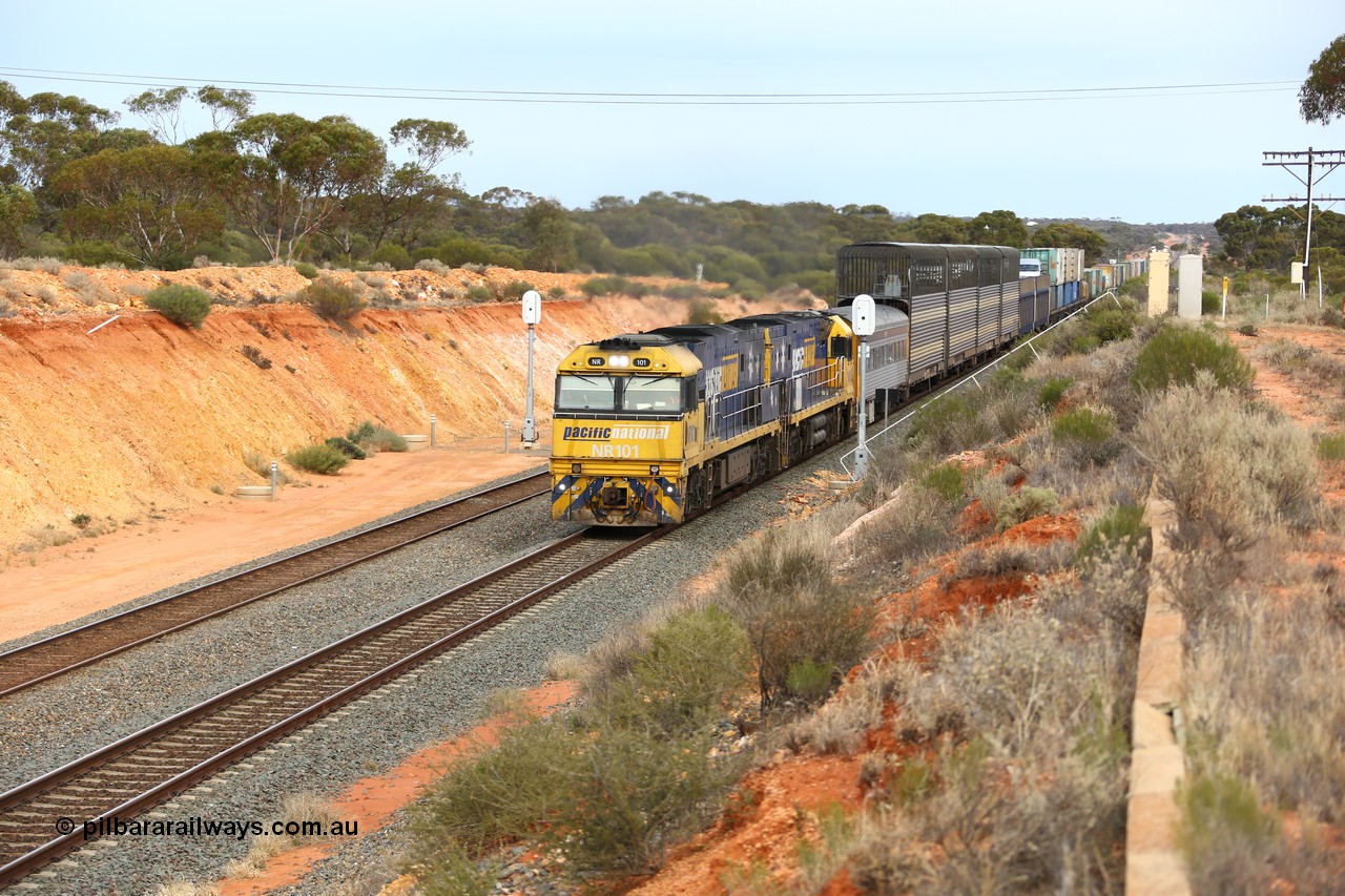 160524 3734
West Kalgoorlie, 2PM6 intermodal train splits the outer home signal posts #4 and #6 as it arrives behind Goninan built GE model Cv40-9i NR class units NR 101 serial 7250-07/97-303 and NR 105 serial 7250-08/97-310, originally built for National Rail now in current owner Pacific National livery.
Keywords: NR-class;NR101;Goninan;GE;Cv40-9i;7250-07/97-303;