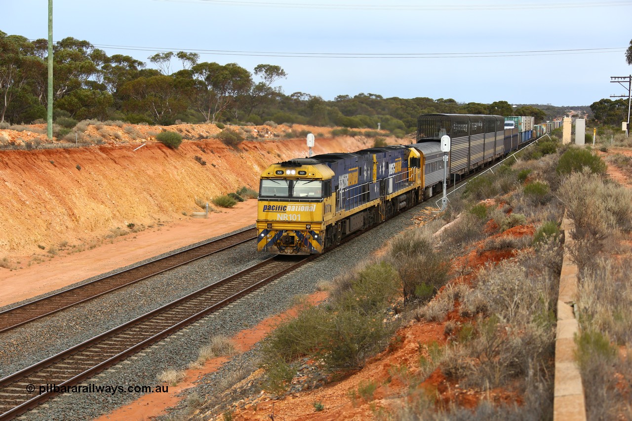 160524 3735
West Kalgoorlie, 2PM6 intermodal train splits the outer home signal posts #4 and #6 as it arrives behind Goninan built GE model Cv40-9i NR class units NR 101 serial 7250-07/97-303 and NR 105 serial 7250-08/97-310, originally built for National Rail now in current owner Pacific National livery.
Keywords: NR-class;NR101;Goninan;GE;Cv40-9i;7250-07/97-303;